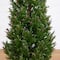 4ft. Potted UV Resistant Rosemary Cone Topiary Tree
